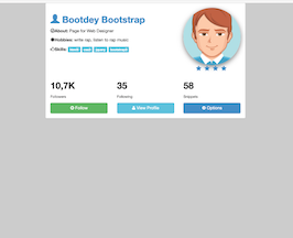 Bootstrap example and template. User profile resume