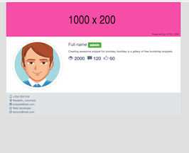 Bootstrap example and template. Profile page
