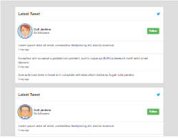 Bootstrap example and template. Latest Tweet