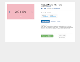 Bootstrap example and template. product full detail