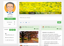 Bootstrap example and template. Profile with tabs like facebook page