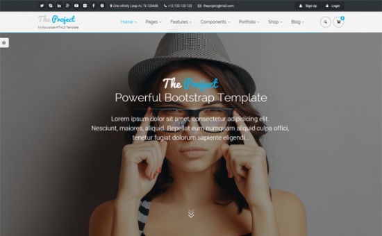 Bootstrap The Project Bootstrap Multipurpose Template template