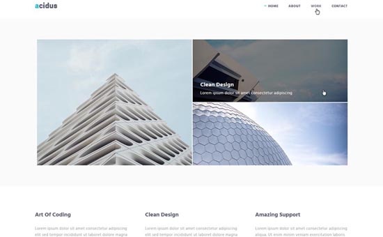 Bootstrap Acidus template